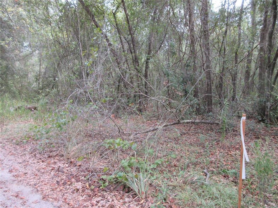 На продажу: $25,000 (0.57 acres)