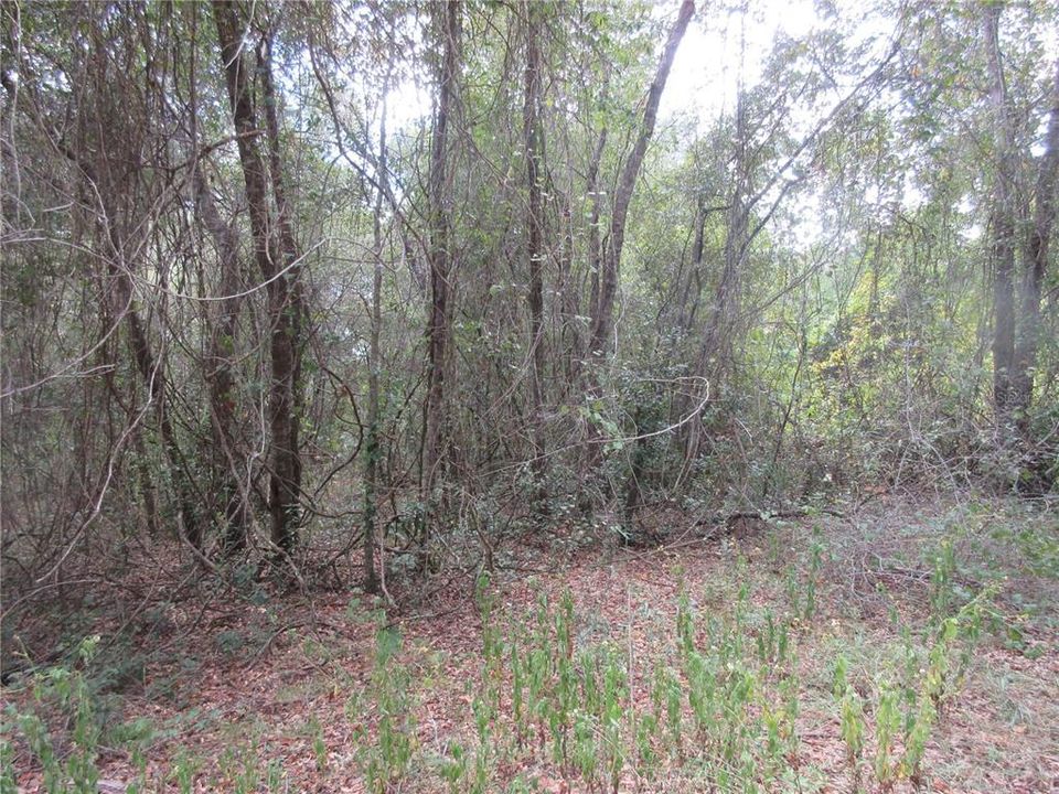 На продажу: $25,000 (0.57 acres)