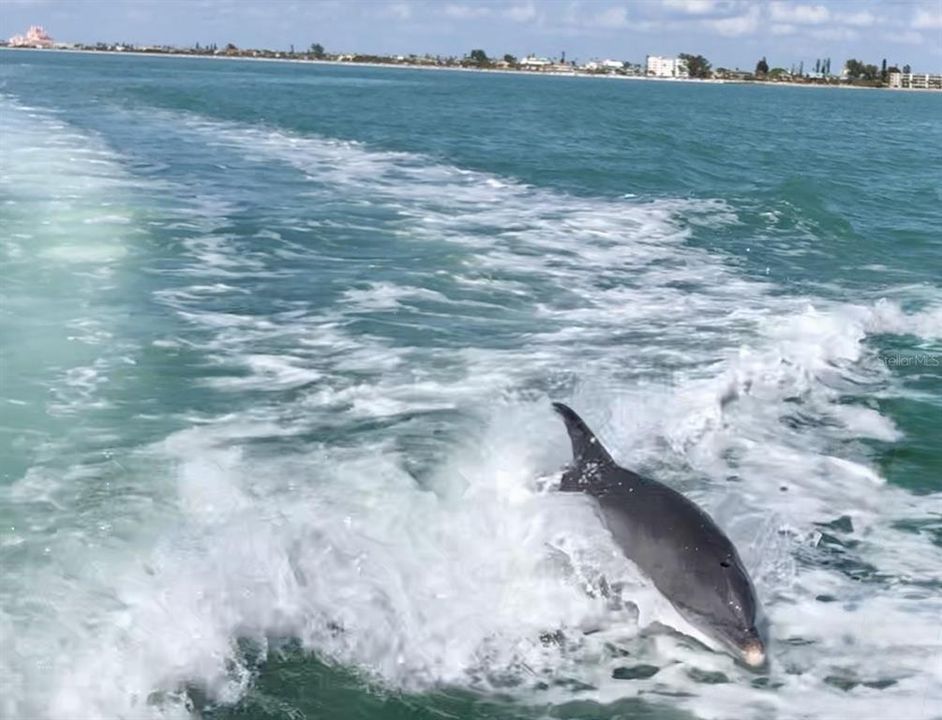 For Sale: $544,000 (3 beds, 2 baths, 1820 Square Feet)