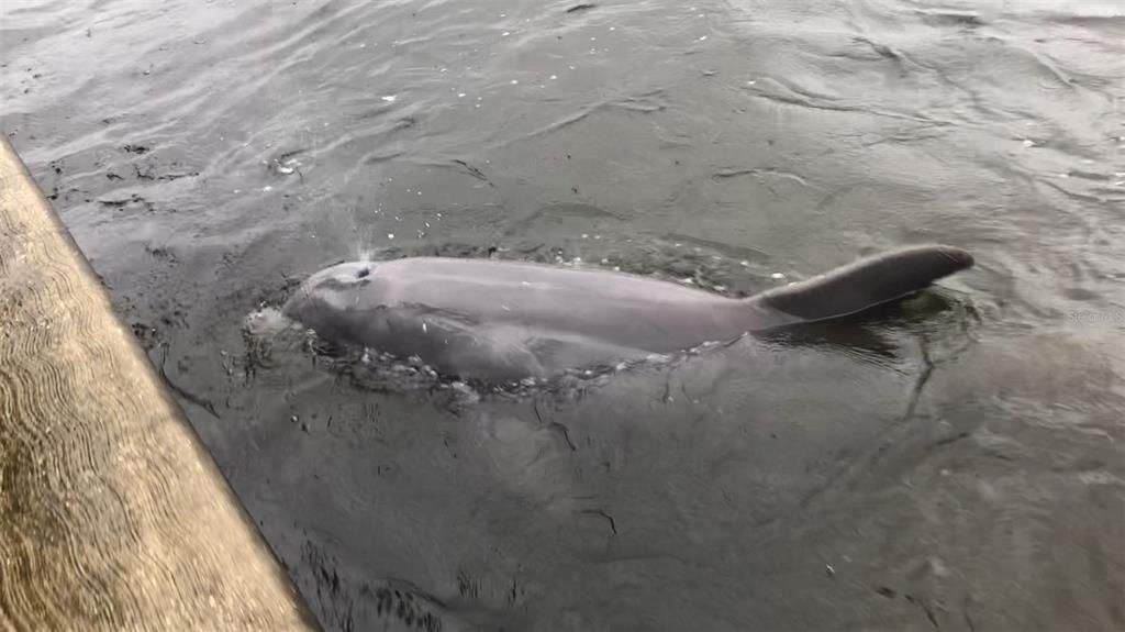 For Sale: $544,000 (3 beds, 2 baths, 1820 Square Feet)