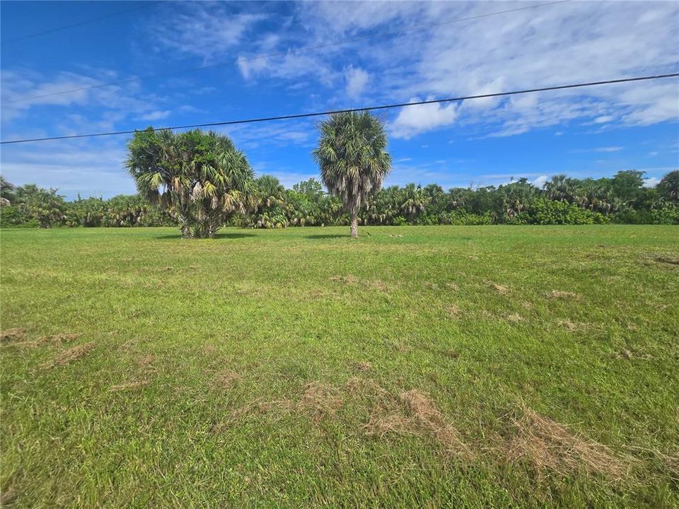 For Sale: $39,000 (0.22 acres)