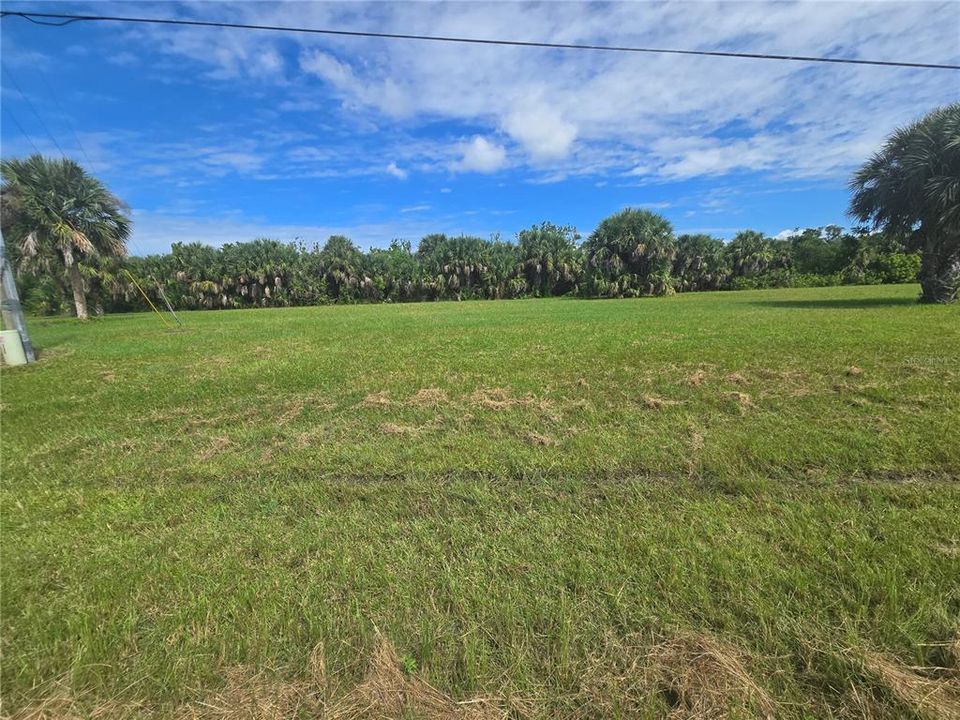 For Sale: $39,000 (0.22 acres)