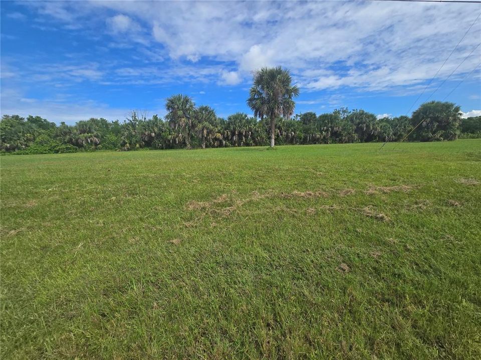 For Sale: $39,000 (0.22 acres)