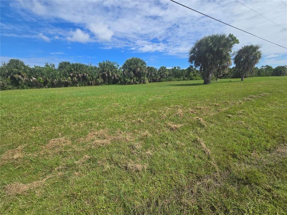 For Sale: $39,000 (0.22 acres)