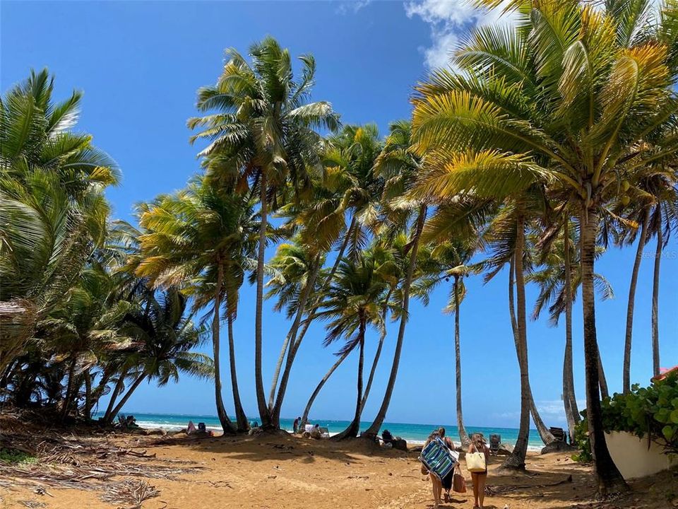 出租: $3,000 (2 贝兹, 2 浴室, 2075 平方英尺)