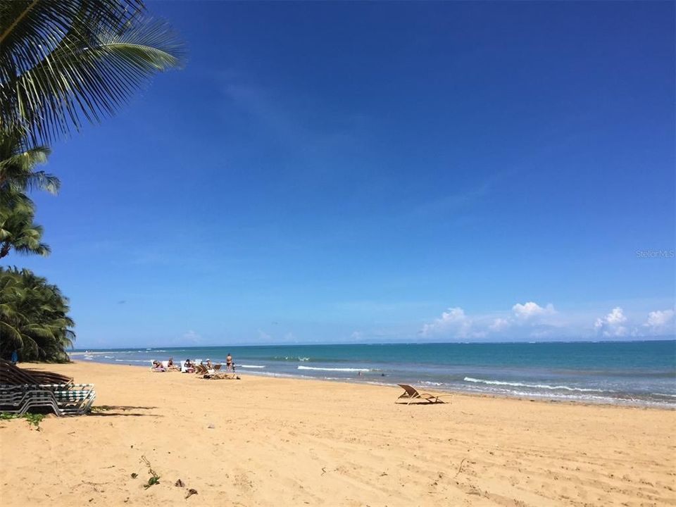 出租: $3,000 (2 贝兹, 2 浴室, 2075 平方英尺)