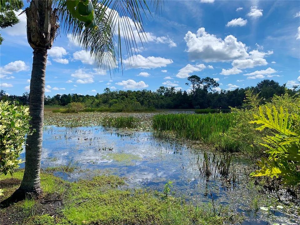 На продажу: $699,000 (5 спален, 4 ванн, 3139 Квадратных фут)