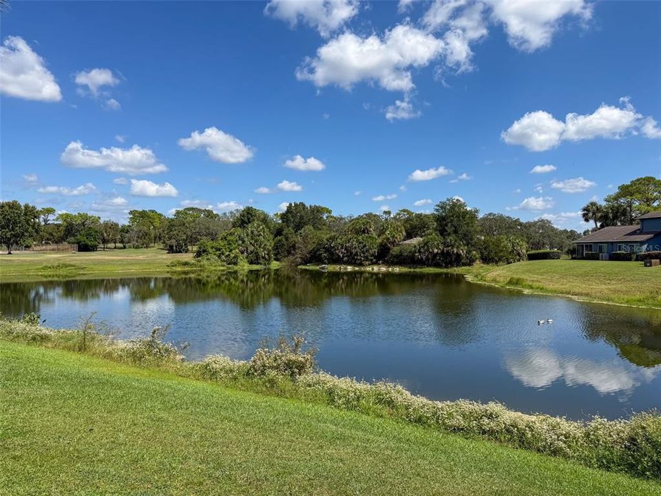 На продажу: $149,000 (2 спален, 2 ванн, 1070 Квадратных фут)