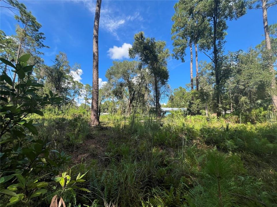 For Sale: $135,000 (3 beds, 1 baths, 1152 Square Feet)