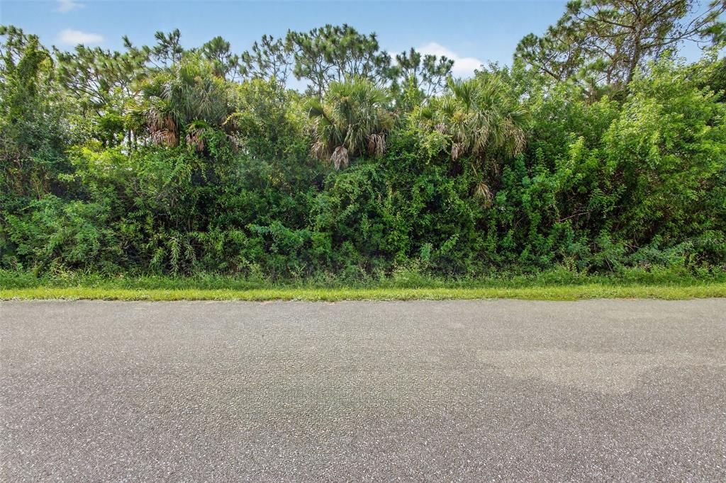 合同活跃: $34,999 (0.36 acres)