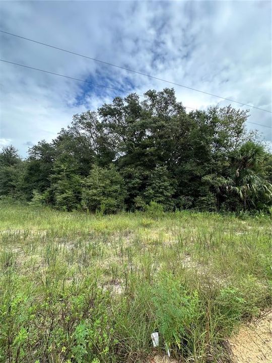 For Sale: $14,900 (0.44 acres)