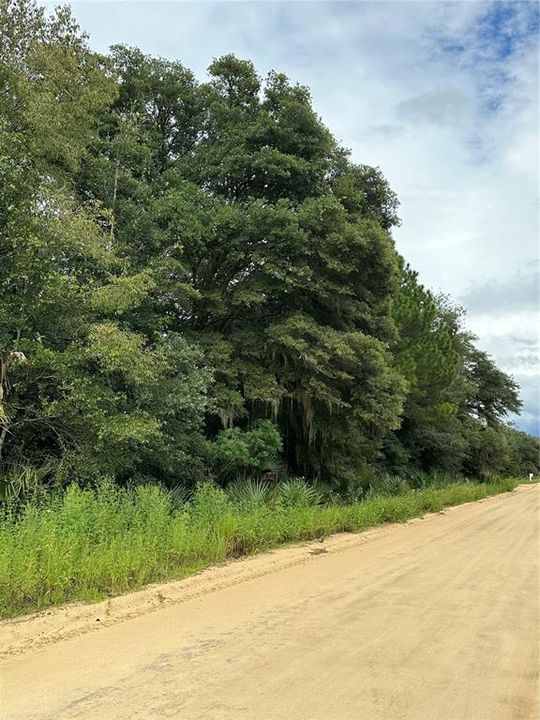 For Sale: $14,900 (0.44 acres)