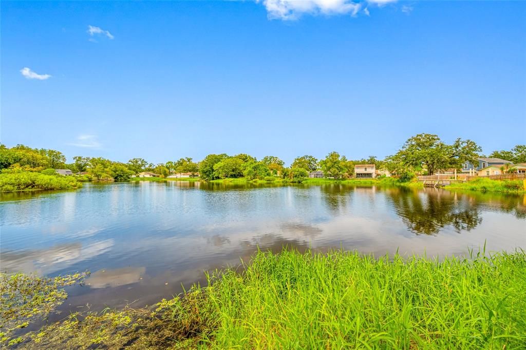 Под контрактом: $339,000 (4 спален, 2 ванн, 1420 Квадратных фут)