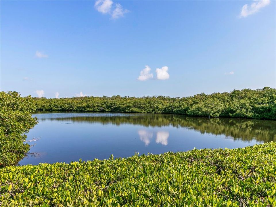 Под контрактом: $400,000 (2 спален, 2 ванн, 1705 Квадратных фут)