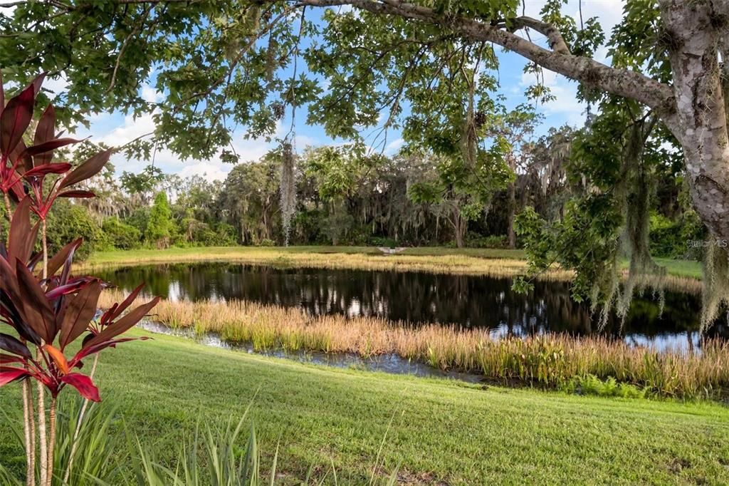 На продажу: $430,000 (3 спален, 2 ванн, 1947 Квадратных фут)