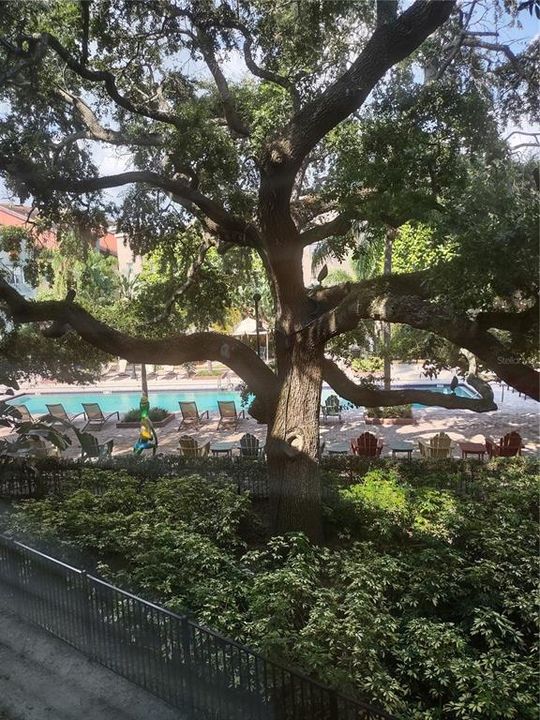 出租: $2,450 (2 贝兹, 2 浴室, 1206 平方英尺)