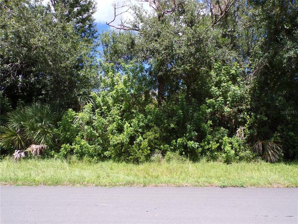 Activo con contrato: $21,900 (0.23 acres)