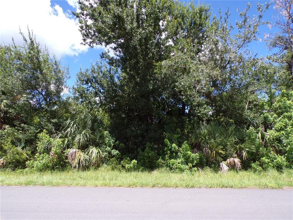 Activo con contrato: $21,900 (0.23 acres)