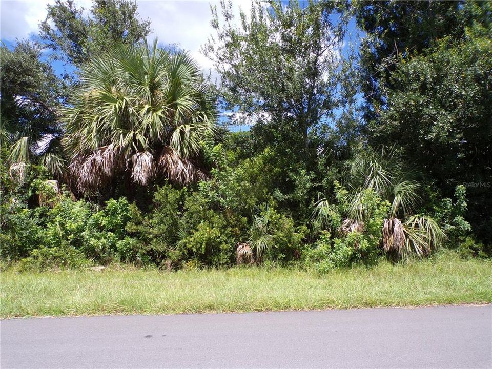 Activo con contrato: $21,900 (0.23 acres)