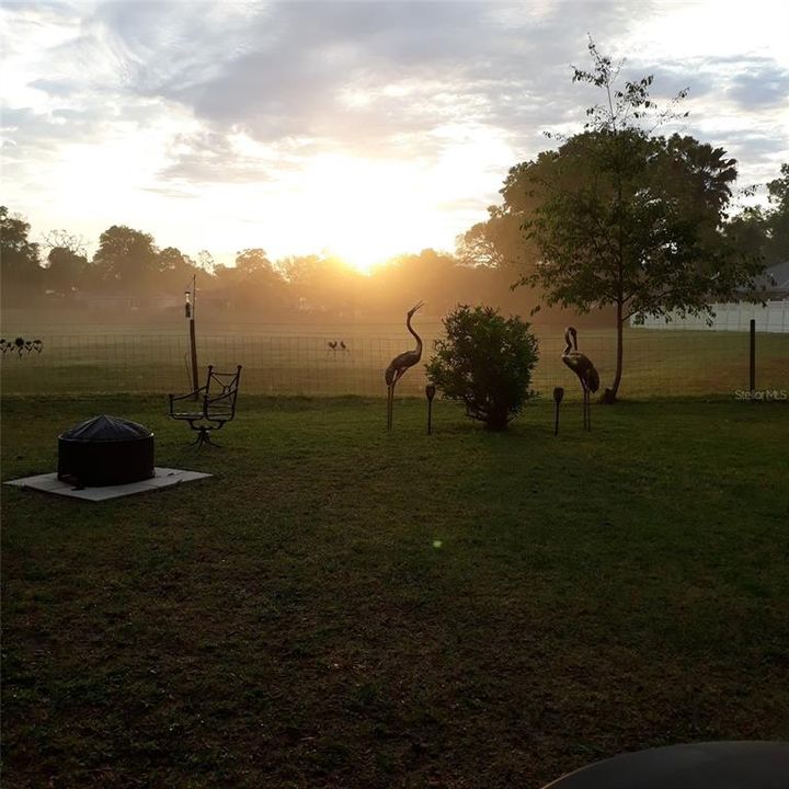 En Venta: $294,500 (3 camas, 2 baños, 1456 Pies cuadrados)