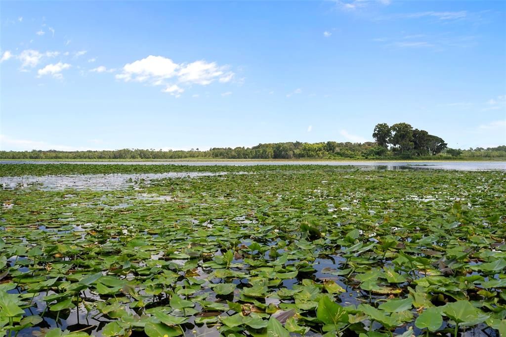 待售: $350,000 (4 贝兹, 2 浴室, 1919 平方英尺)