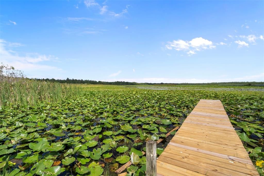 待售: $350,000 (4 贝兹, 2 浴室, 1919 平方英尺)