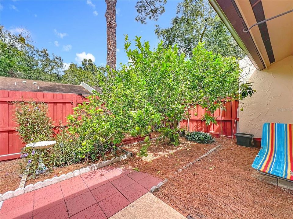 Под контрактом: $249,000 (2 спален, 2 ванн, 1103 Квадратных фут)