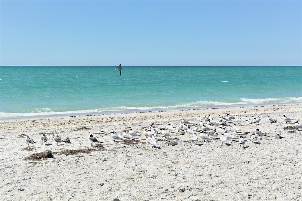 En Venta: $2,399,999 (6 camas, 4 baños, 3753 Pies cuadrados)