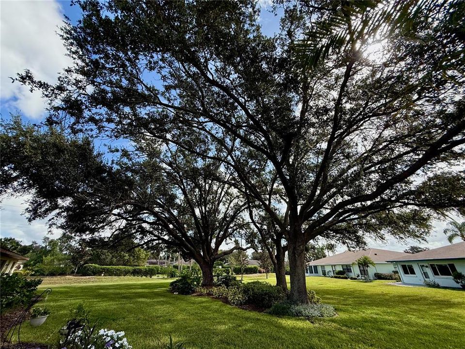 合同活跃: $215,000 (2 贝兹, 2 浴室, 1661 平方英尺)