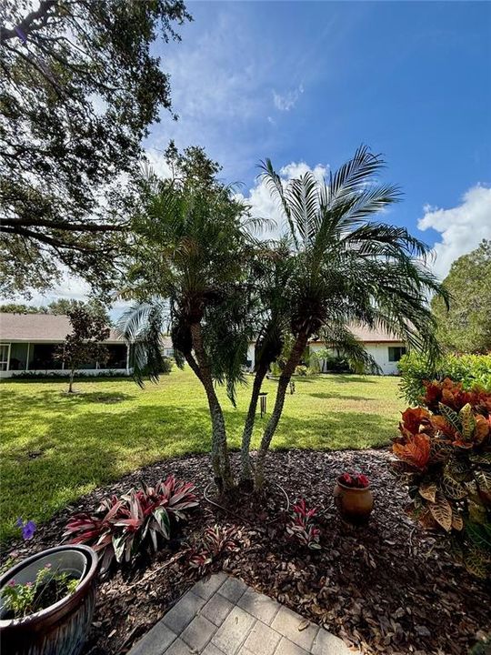 合同活跃: $215,000 (2 贝兹, 2 浴室, 1661 平方英尺)