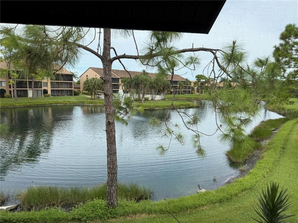 For Rent: $3,400 (2 beds, 2 baths, 1156 Square Feet)