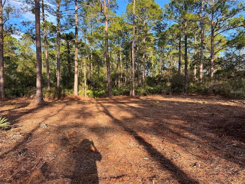 Recently Sold: $109,000 (2.07 acres)