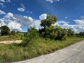 待售: $39,500 (0.33 acres)