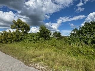 待售: $39,500 (0.33 acres)