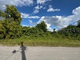 待售: $39,500 (0.33 acres)