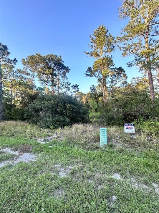 待售: $50,000 (0.18 acres)