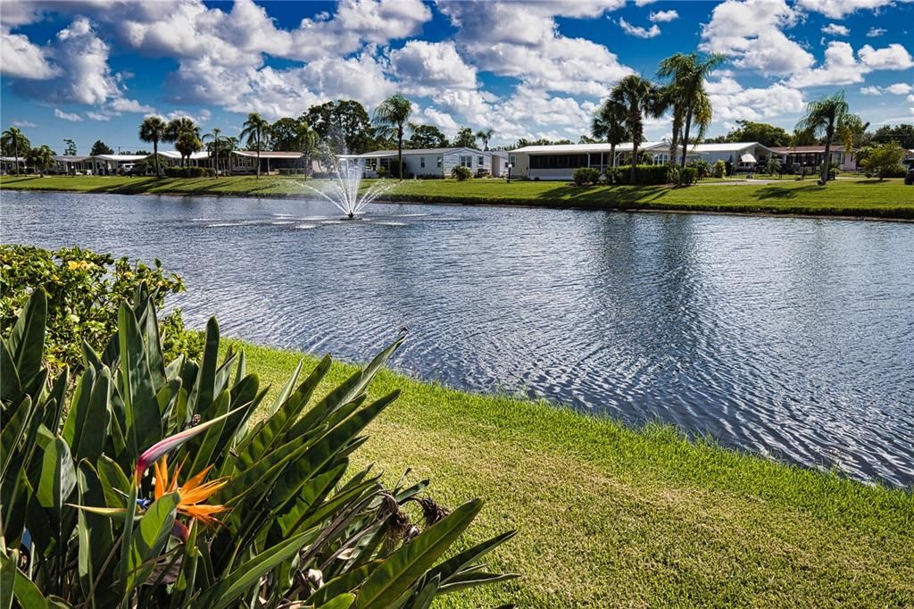 En Venta: $10,000 (0.17 acres)