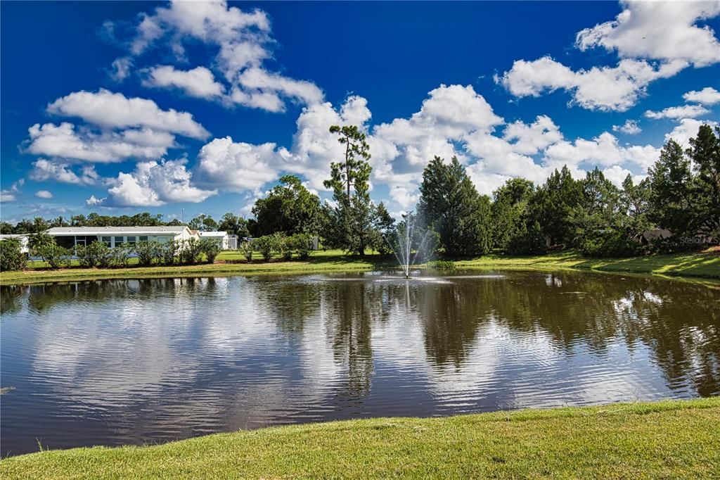 En Venta: $10,000 (0.17 acres)