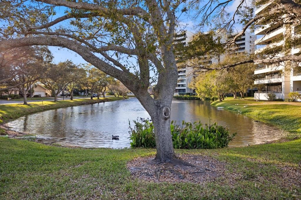 For Sale: $400,000 (2 beds, 2 baths, 1476 Square Feet)