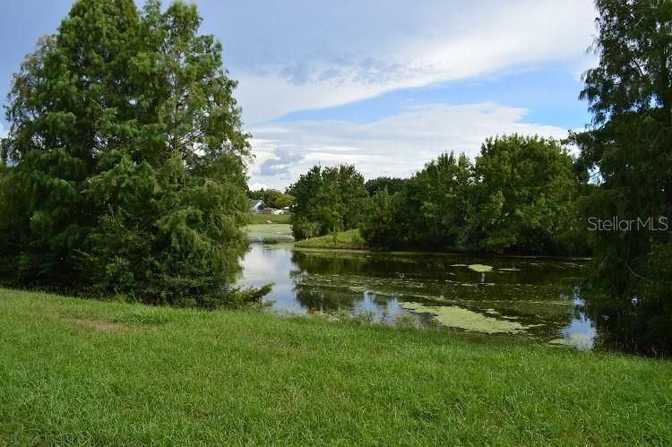En Renta: $1,400 (2 camas, 1 baños, 800 Pies cuadrados)