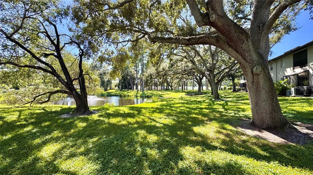 Active With Contract: $199,900 (2 beds, 2 baths, 900 Square Feet)