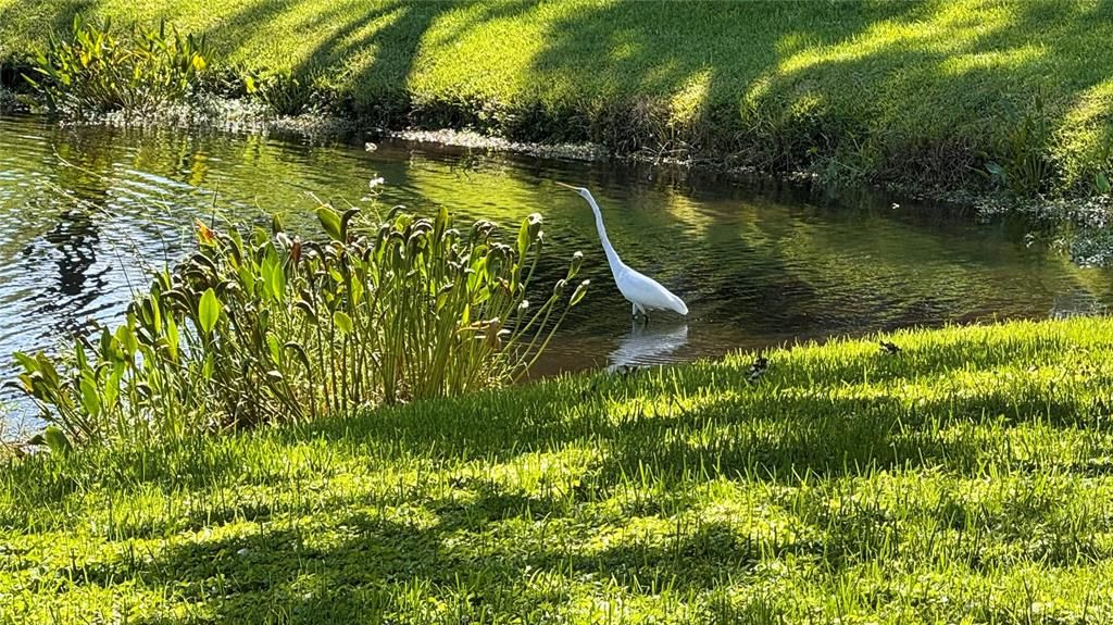 Active With Contract: $199,900 (2 beds, 2 baths, 900 Square Feet)