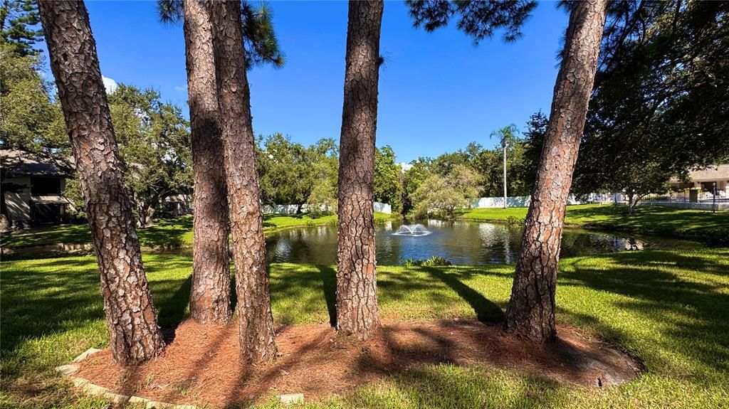 Active With Contract: $199,900 (2 beds, 2 baths, 900 Square Feet)