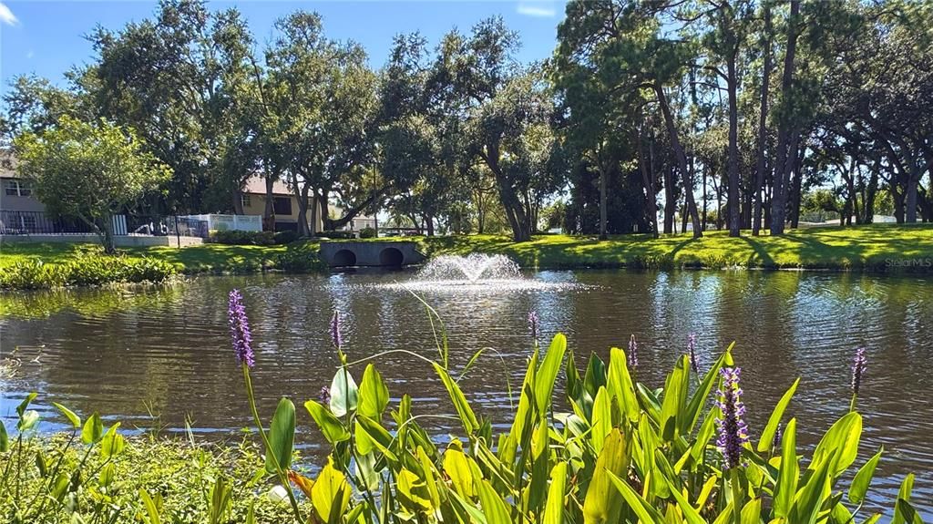 Active With Contract: $199,900 (2 beds, 2 baths, 900 Square Feet)