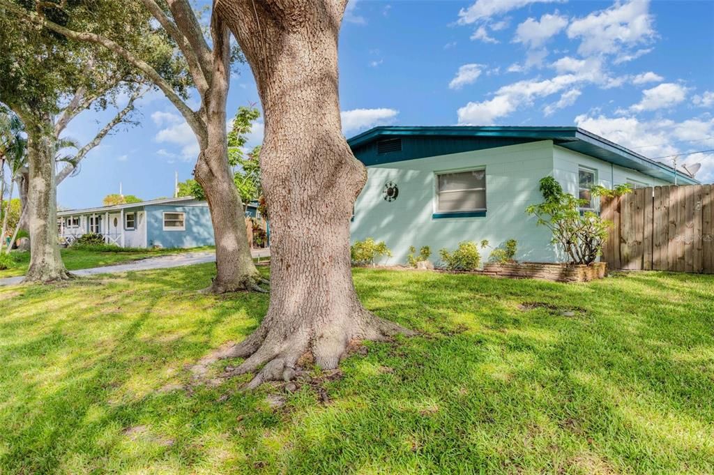 待售: $325,000 (3 贝兹, 2 浴室, 1463 平方英尺)