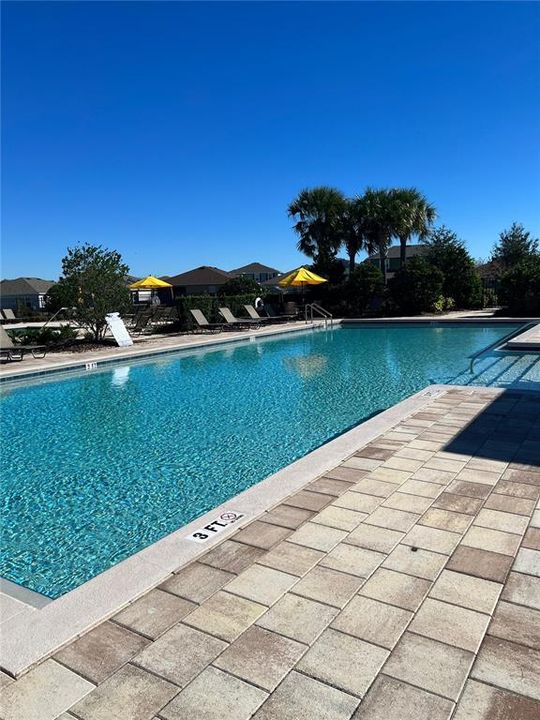 出租: $2,000 (4 贝兹, 2 浴室, 1989 平方英尺)