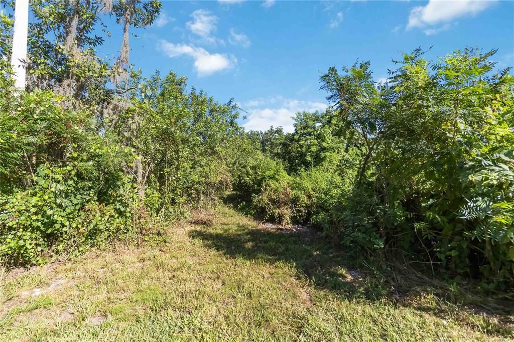 For Sale: $400,000 (4.76 acres)