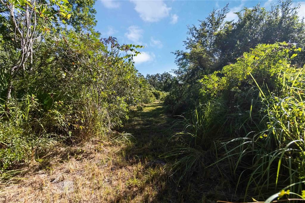 For Sale: $400,000 (4.76 acres)