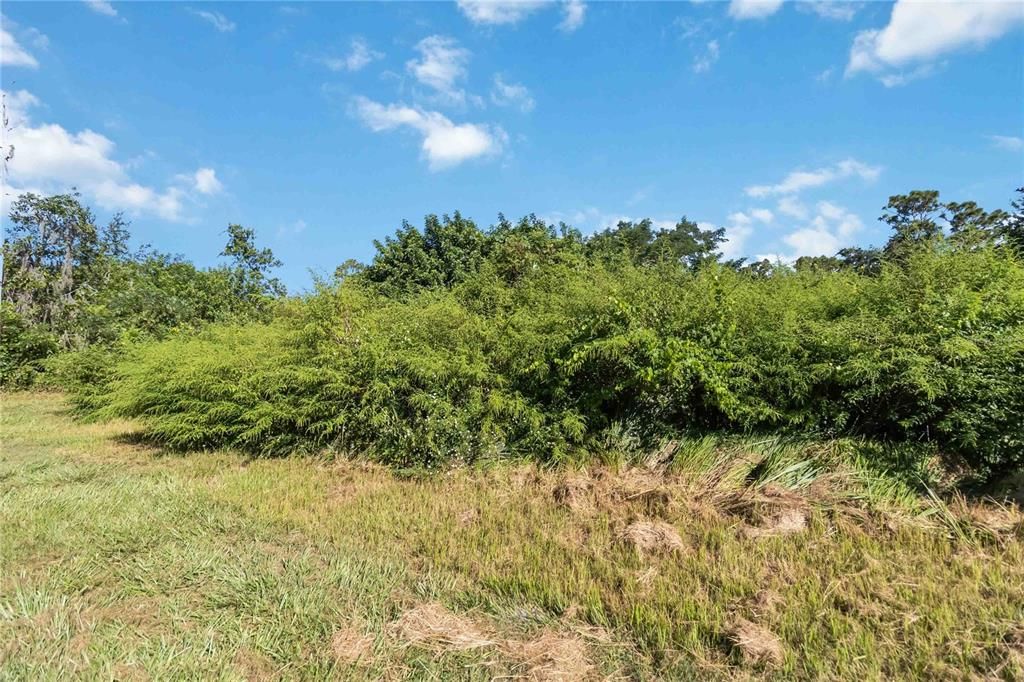 For Sale: $400,000 (4.76 acres)