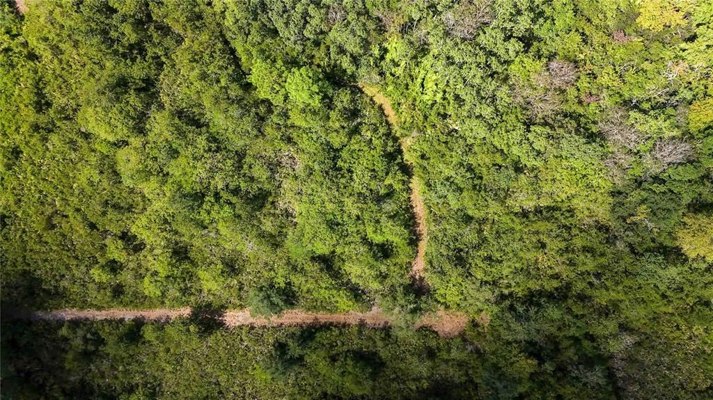 For Sale: $400,000 (4.76 acres)